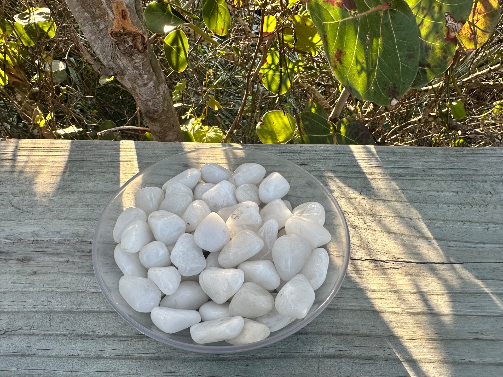 1/2 lb White Quartz Tumbled Stones – Bulk Polished Milky Crystals Lot (8 oz)