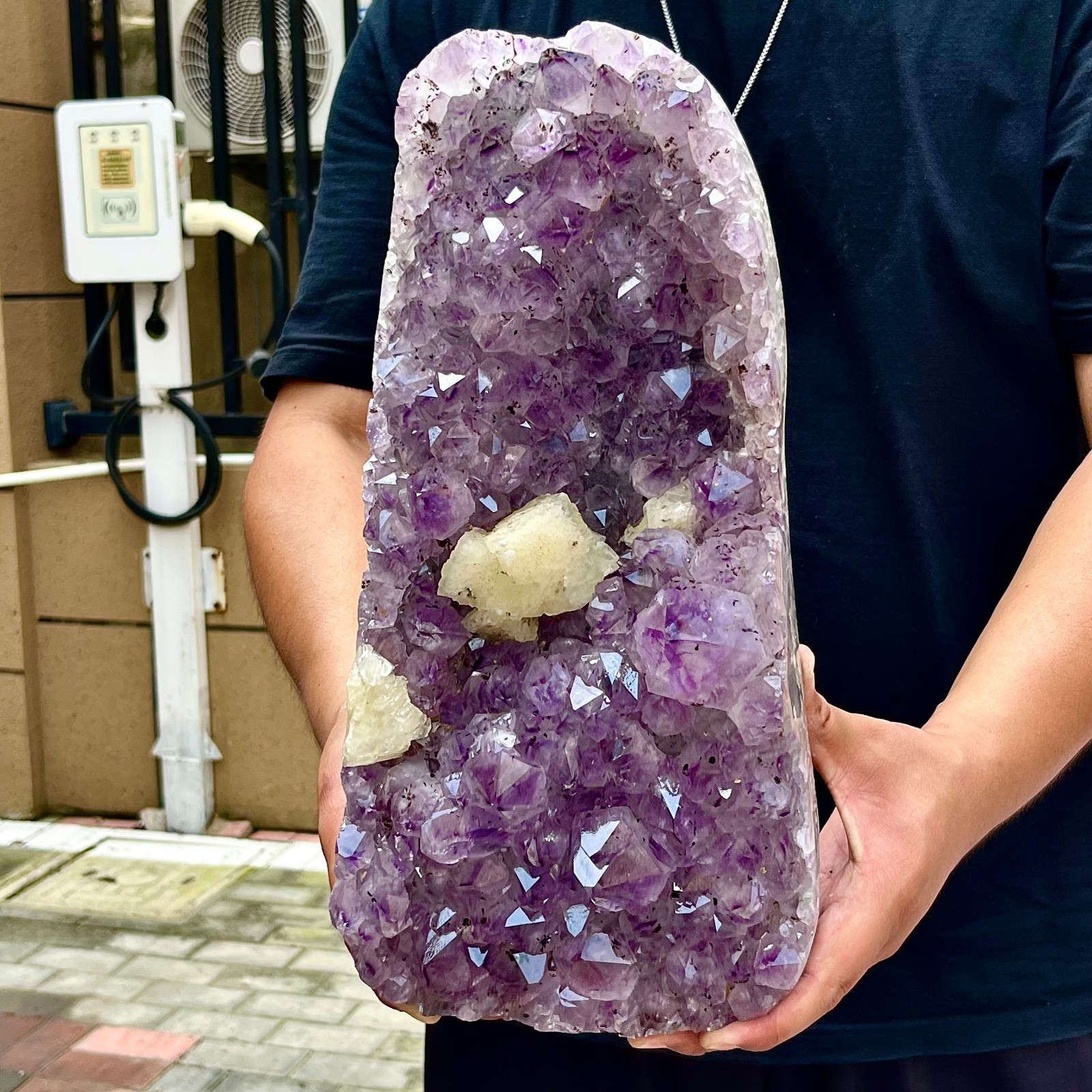 19.95LB Natural Brazilian high-grade amethyst thin skin large teeth