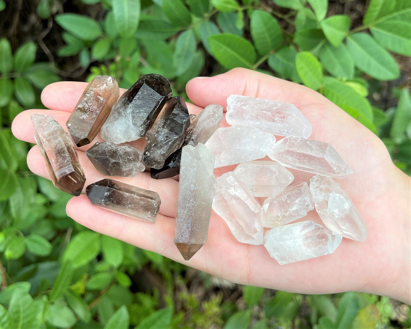 1/2 lb Bulk Wholesale Mixed Smoky & Quartz Crystal Points, Natural Clear Smokey