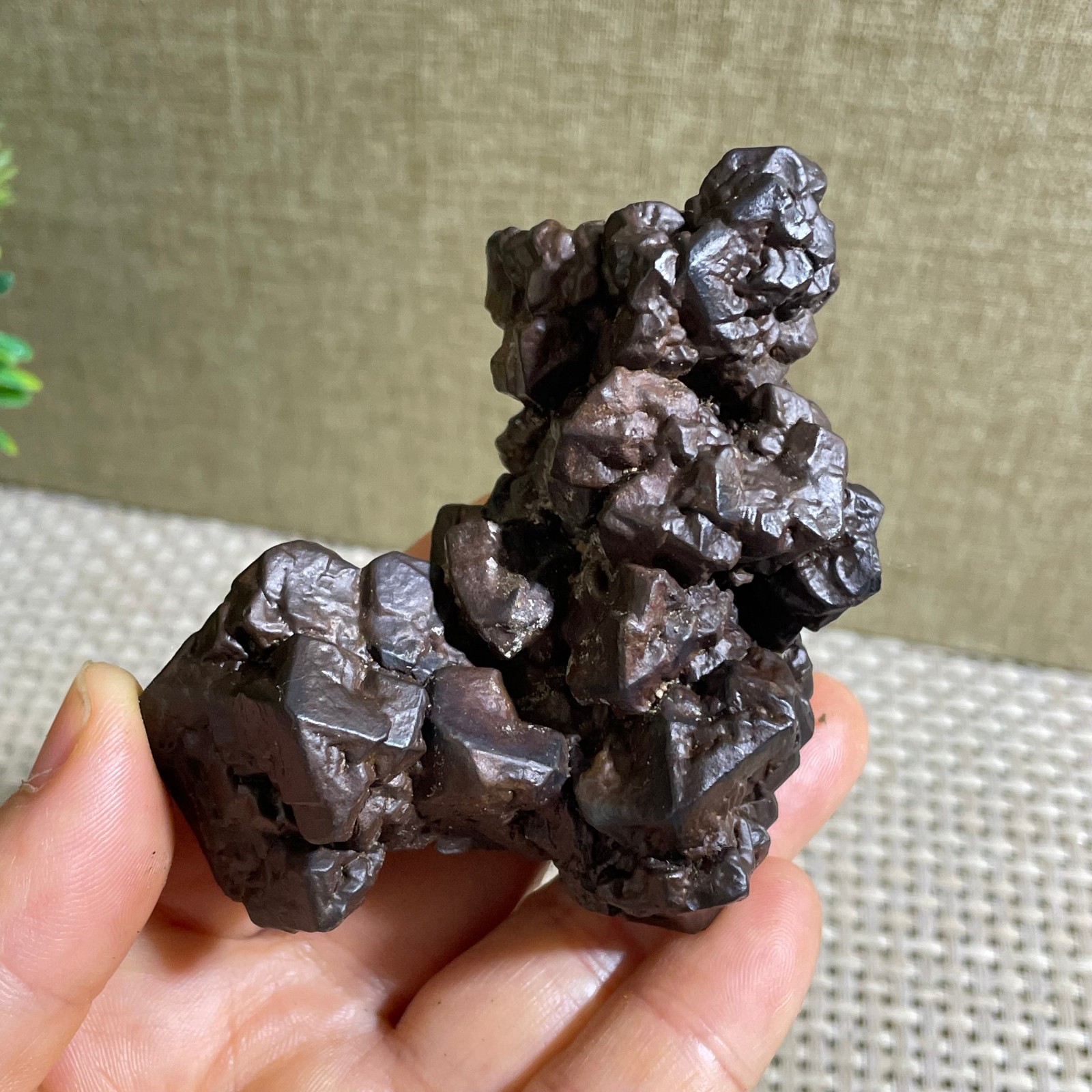 168g Limonite & Hematite pseudomorph after Marcasite Prophecy Rock Stone