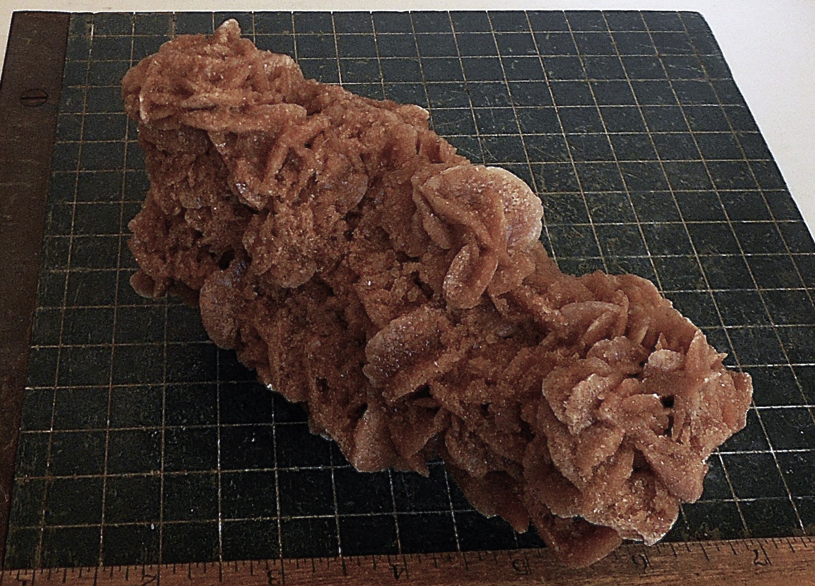 Desert Rose Selenite. Natural. Gypsum. Morocco 6.0″ (15.2cm). 1.33 Lb