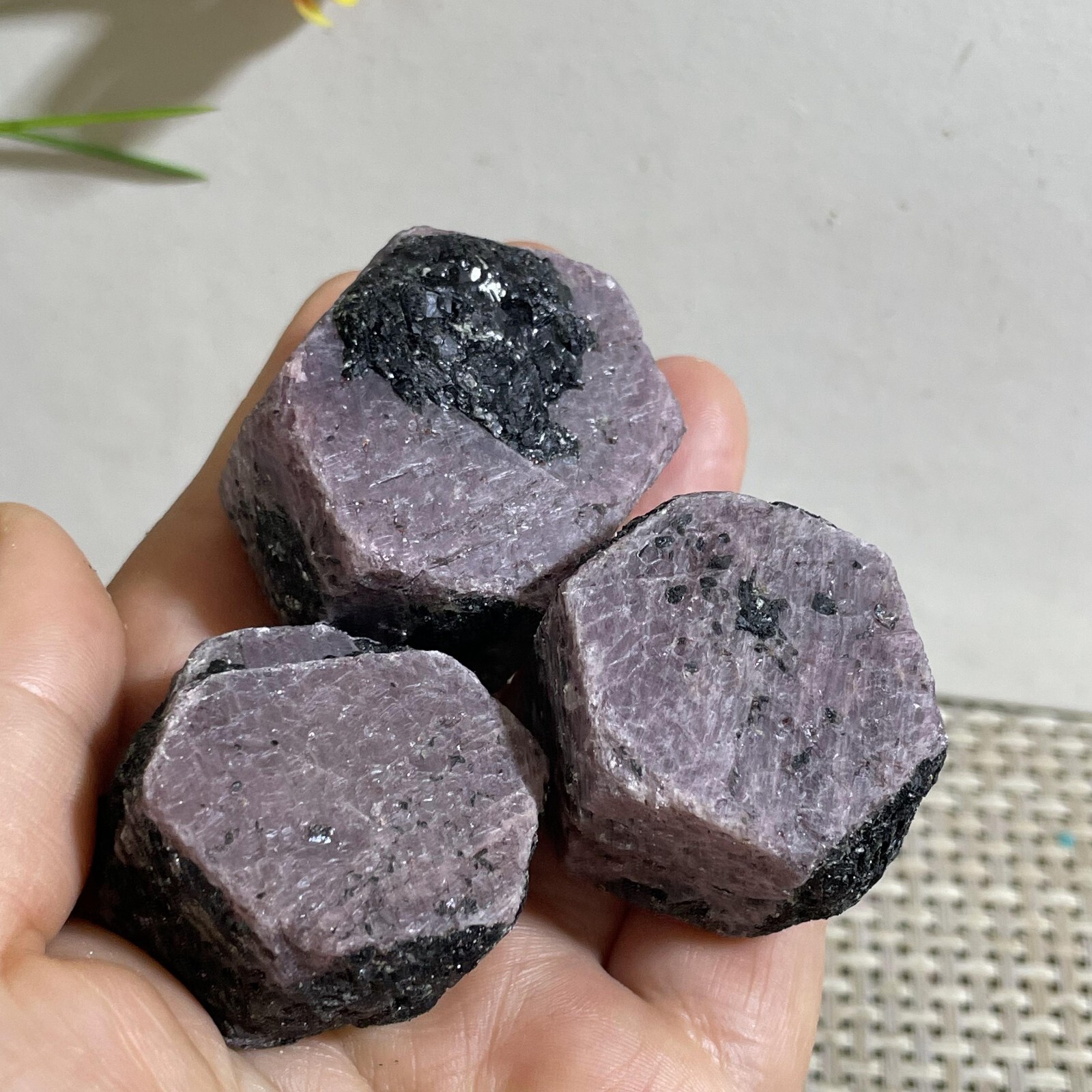 3pc 250g Natural Red Corundum Ruby Crystal Rough Mineral Specimen