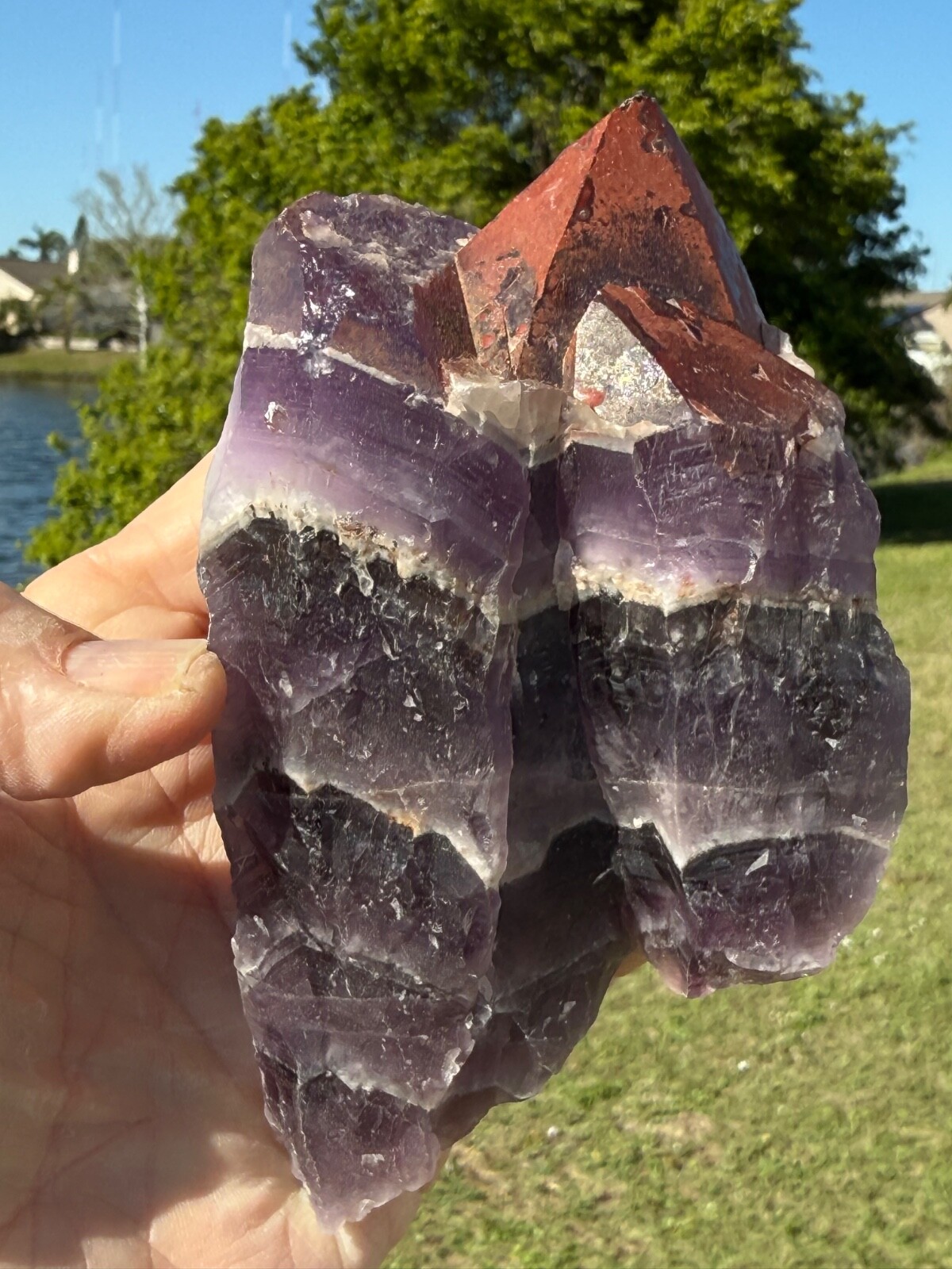 Unique Auralite 23 Crystal Rare chunk from Canada 551 grams 6″