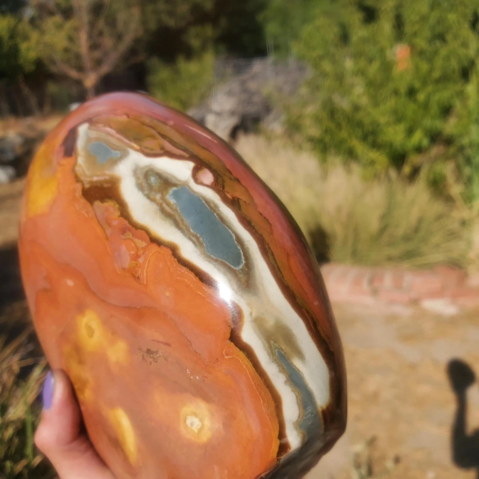 Polychrome Freeform Jasper Free-Standing Healing Crystal 3340 grams l 7lbs 6oz