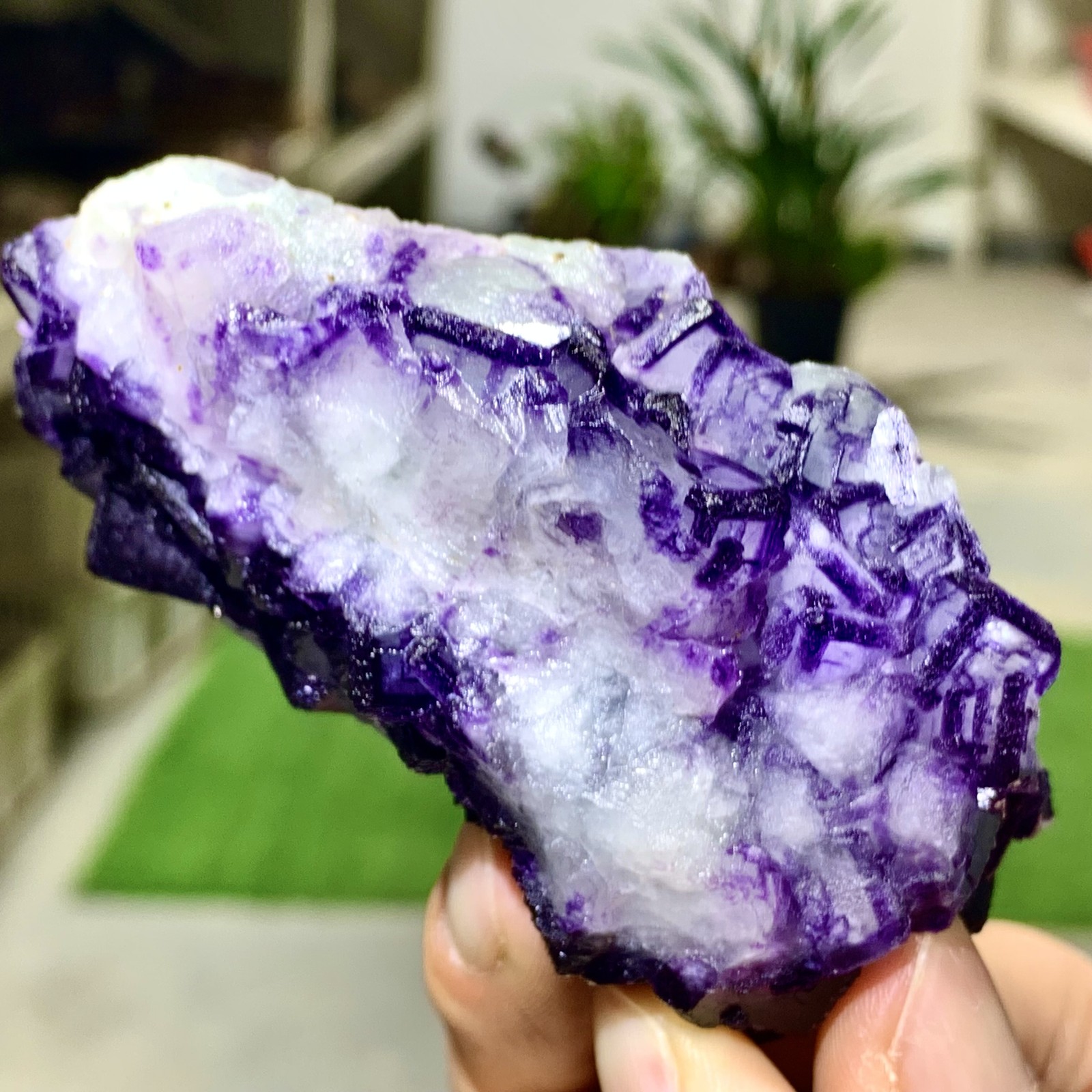 211G Inner Mongolia Natural Fluorite Purple Edged Cube Crystal Mineral Specimen