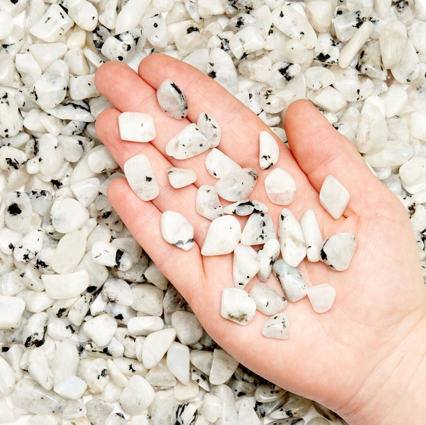 3/4 lb Tumbled Rainbow Moonstone Gemstone Small Crystals Bulk Stones Gems Rocks