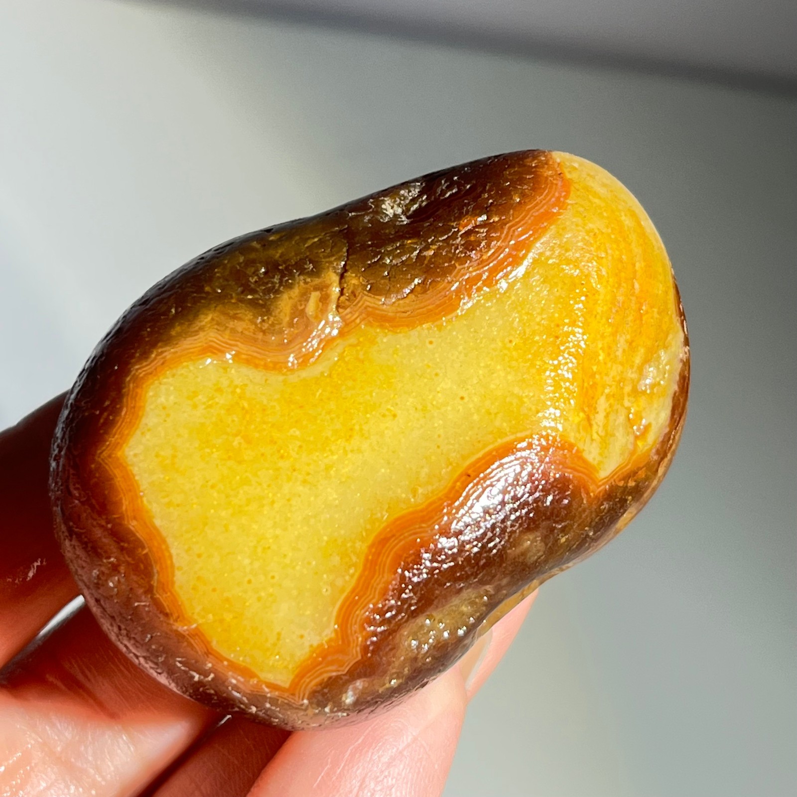 106g Bonsai Suiseki-Natural Gobi Agate Eyes Stone-Rare Stunning Viewing