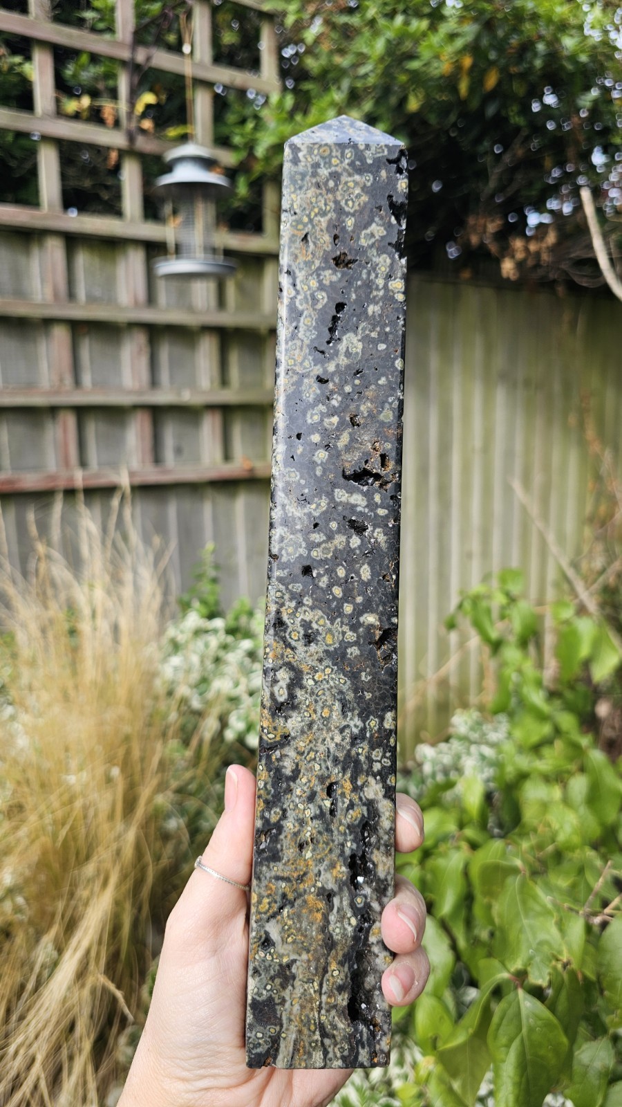 Large Rainforest Jasper Rhyolite tower Point Stone crystal Calming 1.02kg 31cm