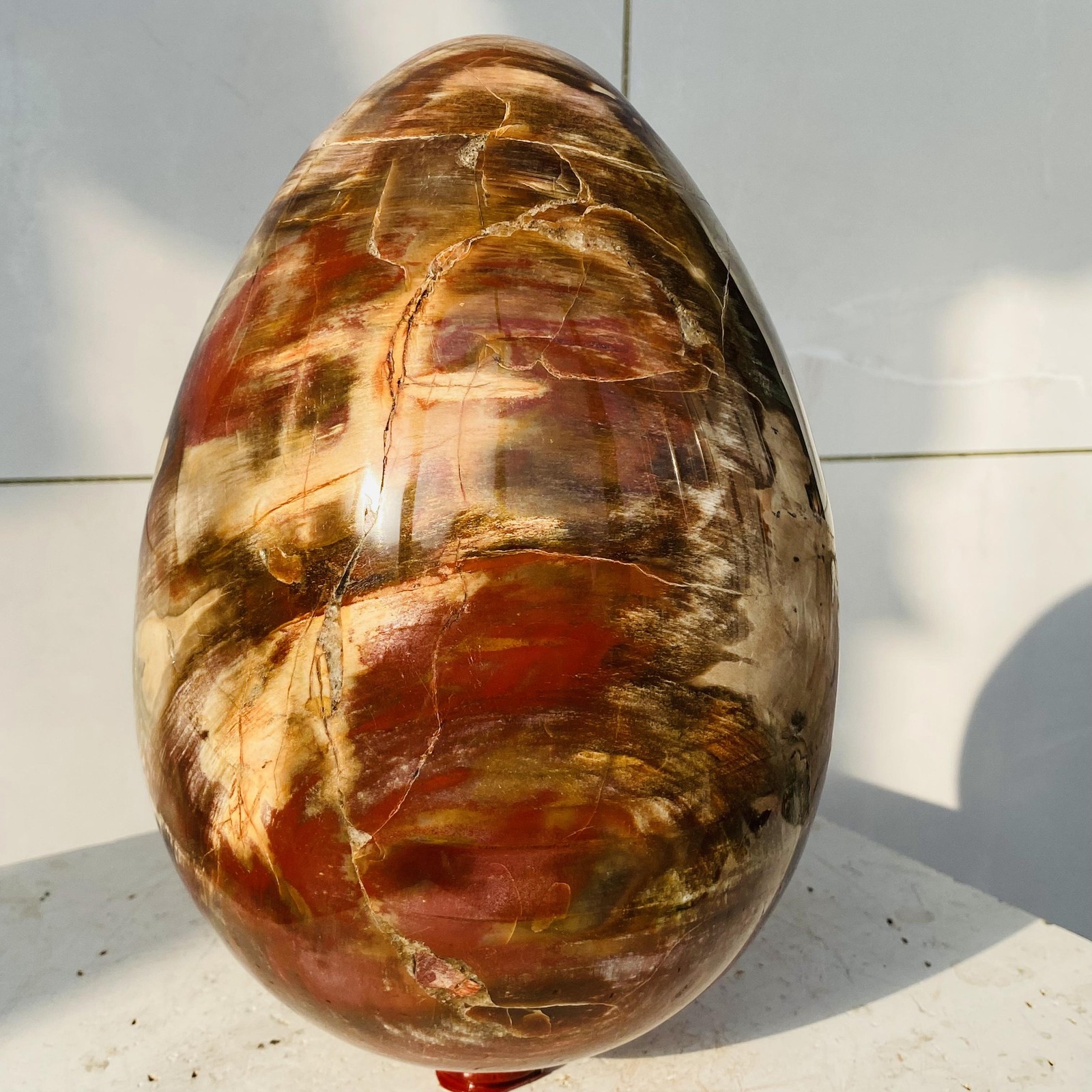 Natural Petrified Wood Egg Quartz Crystal Fossil Mineral 7760g
