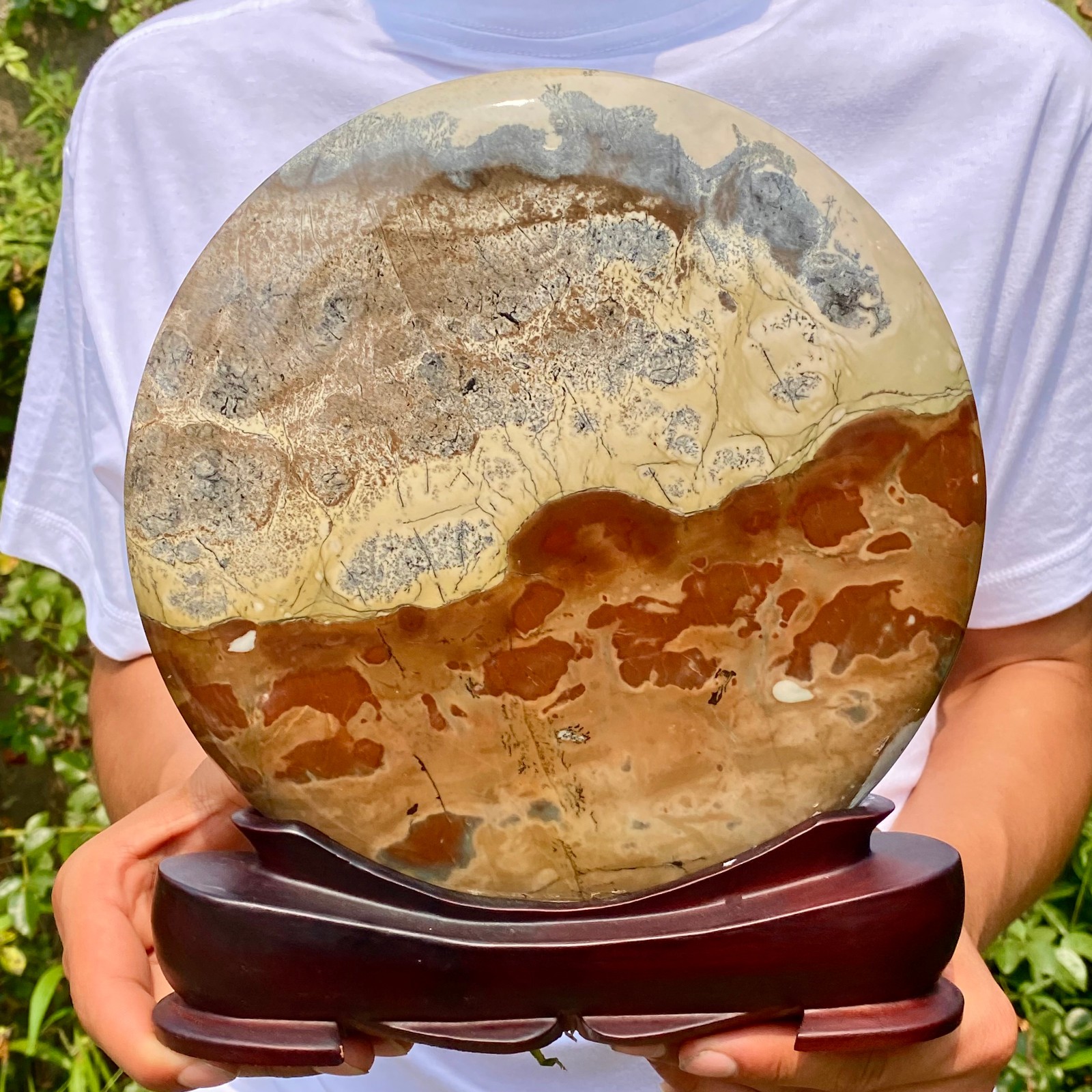 7.5LB Natural Chinese tree shaped limestone image stone national flower ornament