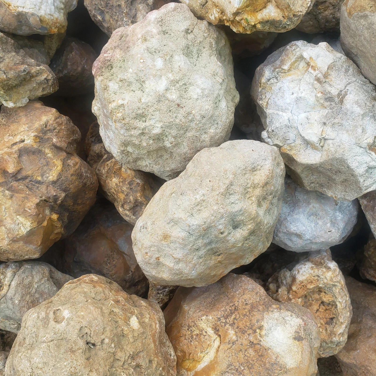 9 lb Kentucky Geode Lot of 14 – Rattler Included – Crack Your Own Crystals