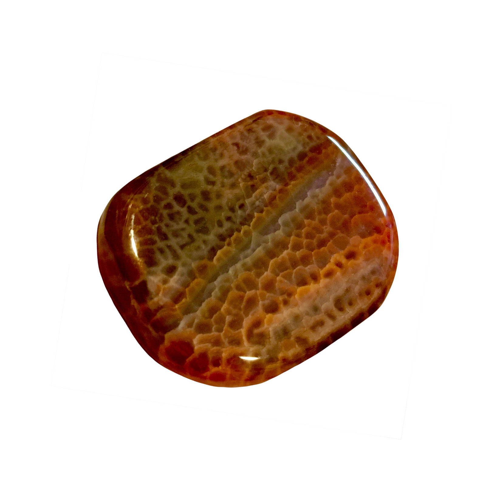 Natural Fire Agate Palm Stone Red Rock Crystal Healing Reiki Polished Worry Ston