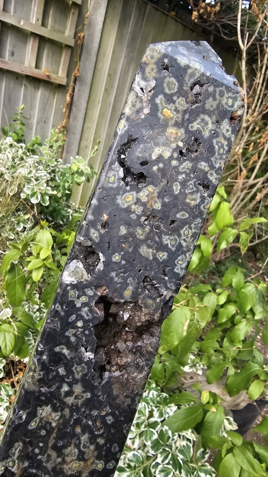 Large Rainforest Jasper Rhyolite tower Point Stone crystal Calming 1.02kg 31cm