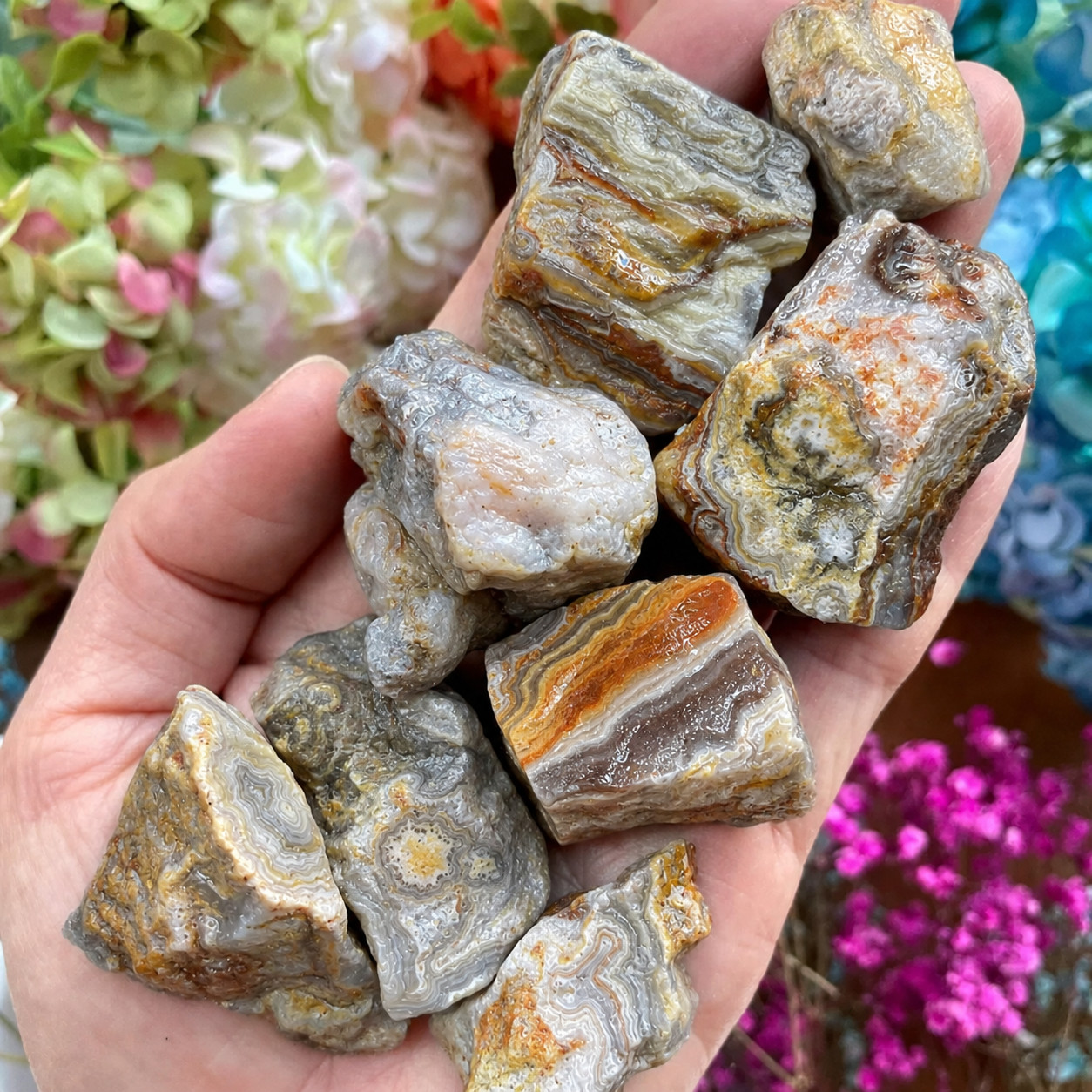 3pcs Natural Crazy Lace Agate Raw Stone Rough Crystals Healing Mineral Specimens