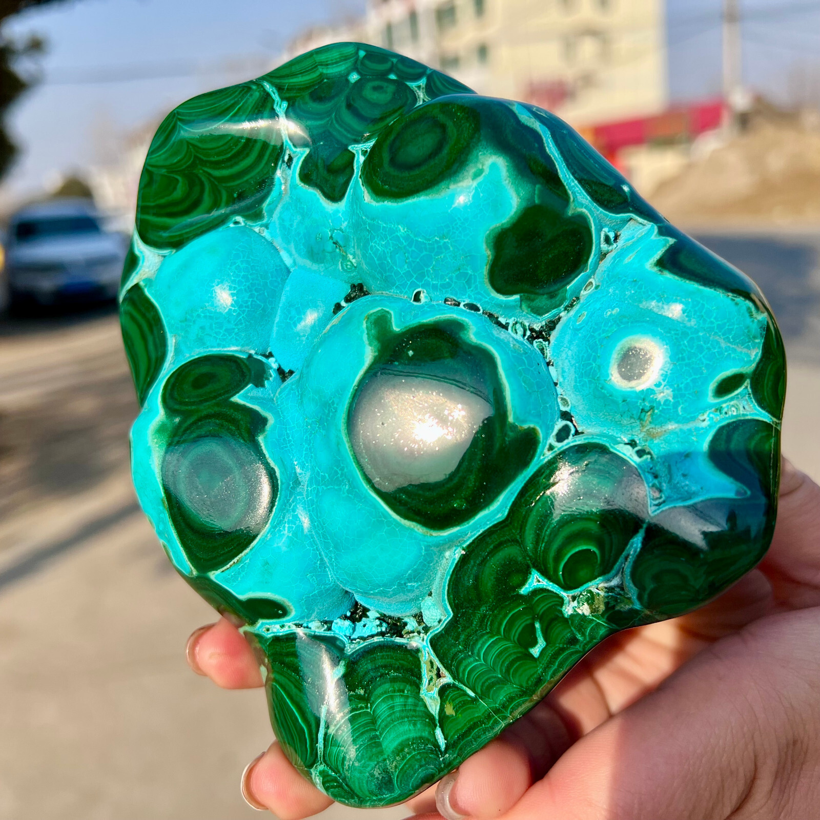 3.03LB Natural tortoise Malachite transparent cluster rough mineral sample