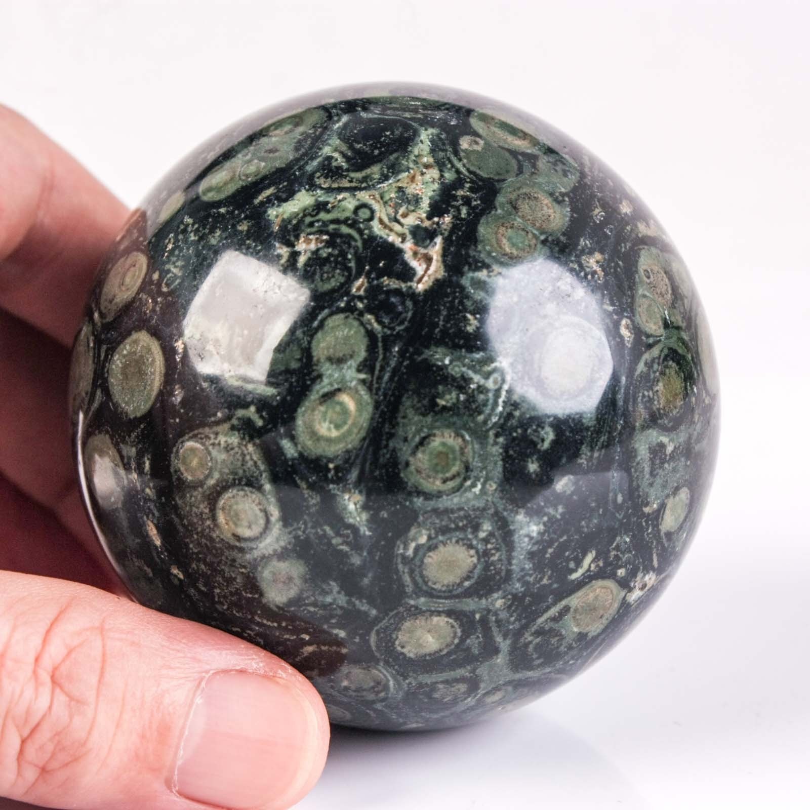2.7″ 15.77oz Kambaba Jasper Sphere Crocodile Jasper Natural Crystal Ball Orb