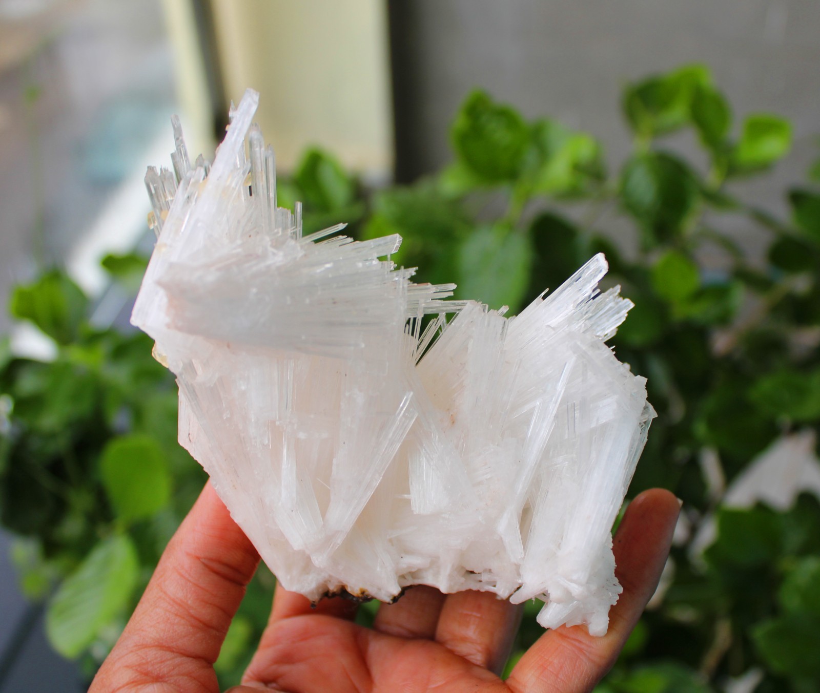SCOLECITE FORMATION MINERALS SPECIMEN INDIA
