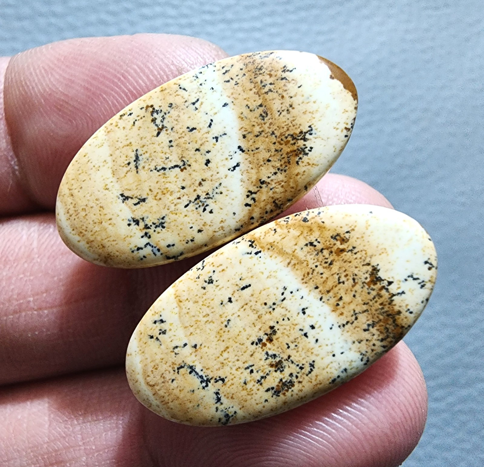 Beautiful Picture Jasper Oval Cabochon Matching Pair 29.70Cts Natural Gem