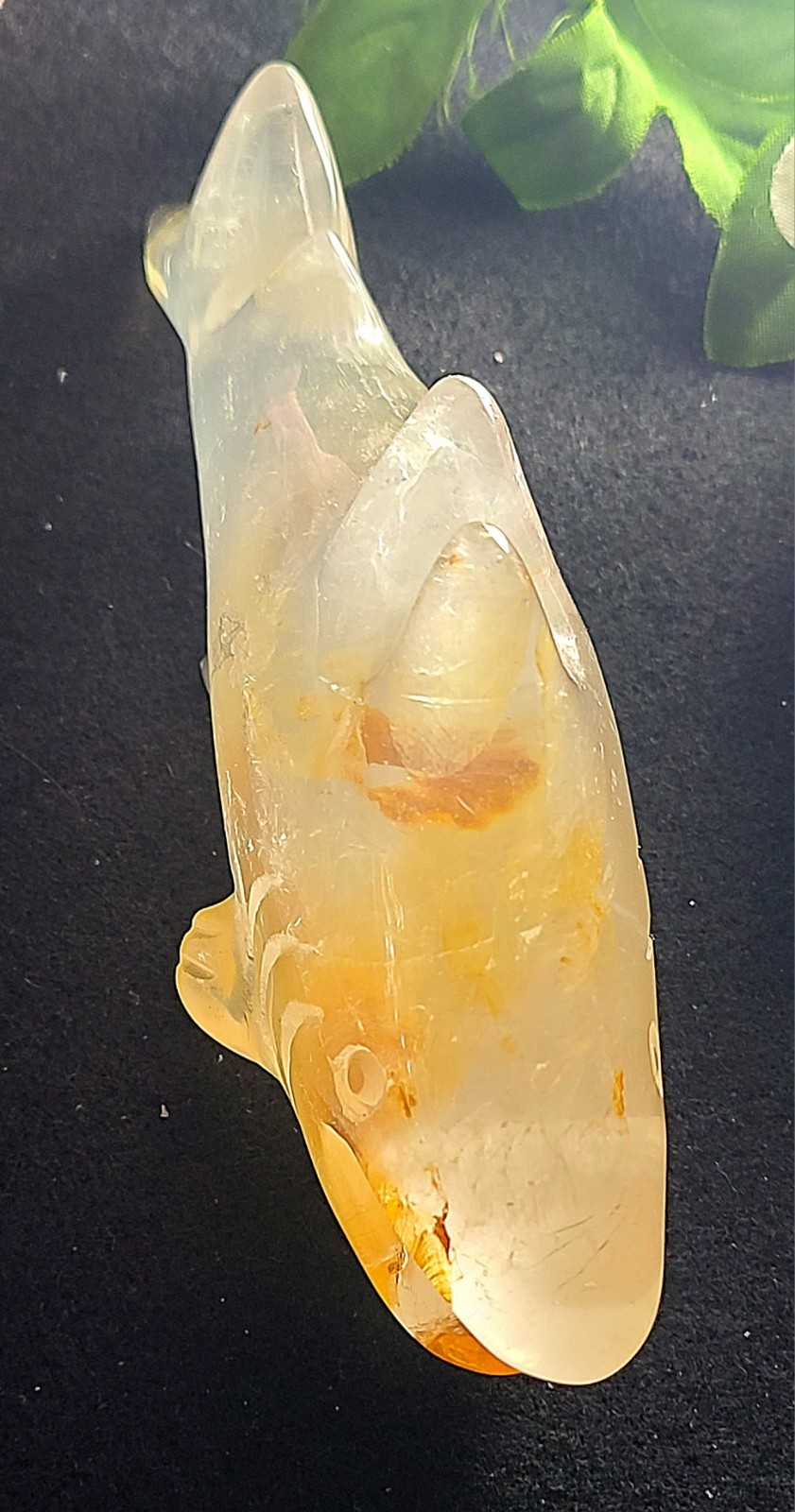 X Large 5.6″ Unique 252g Golden Healer Quartz Shark Sea Crystal Carving