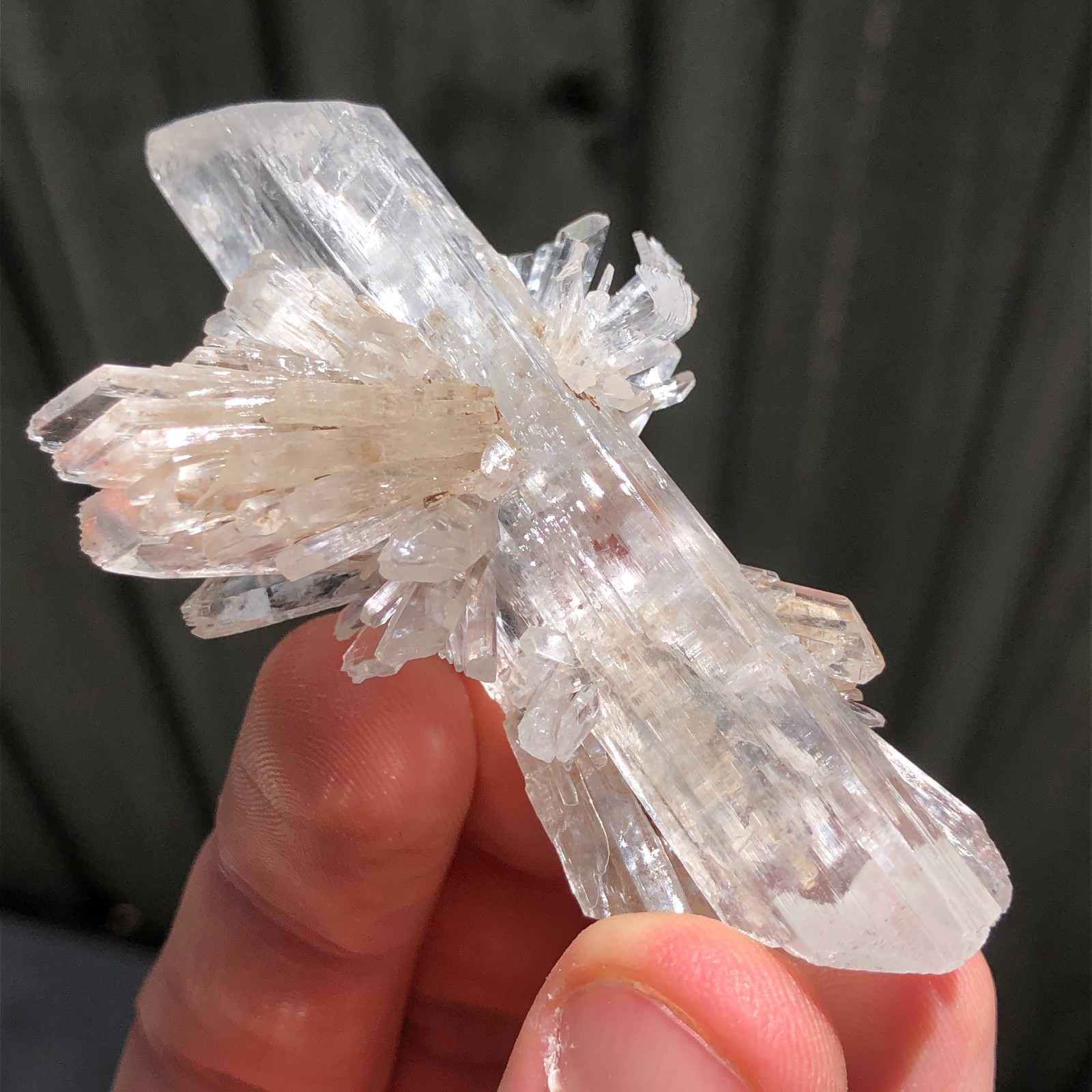 7.5cm Gemmy Gypsum Selenite Crystal Cluster from Angervilliers quarry, France