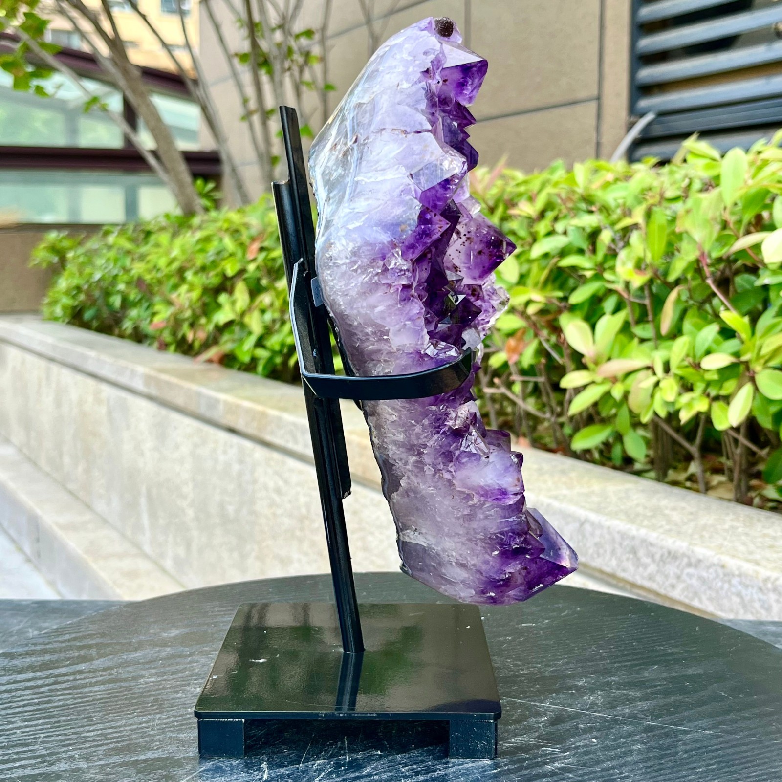 8.76LB Natural Brazilian high-grade amethyst thin skin large teeth