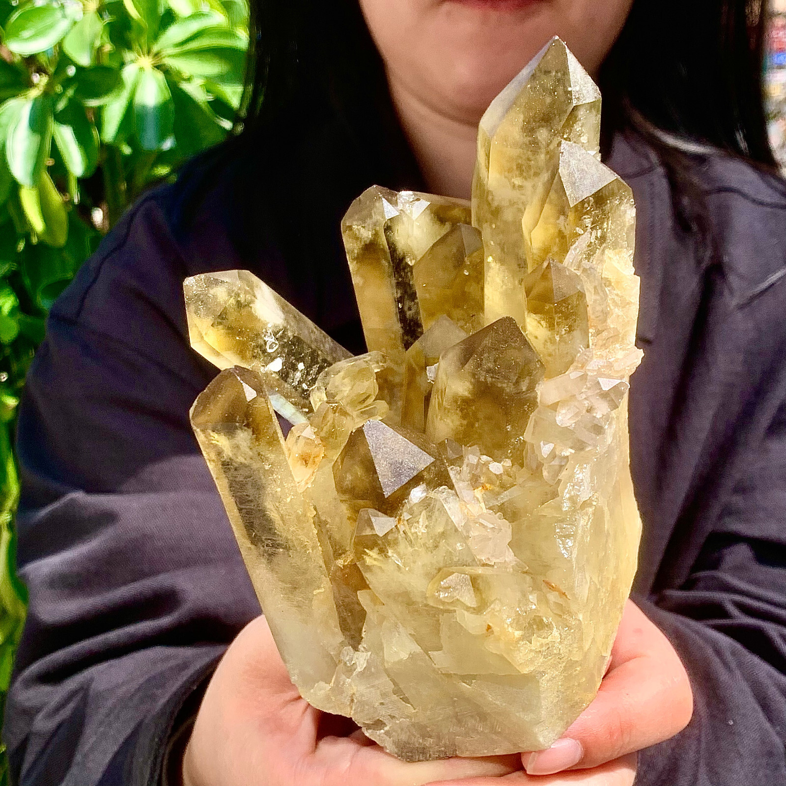 2.24LB Natural Citrine cluster mineral specimen quartz crystal healing