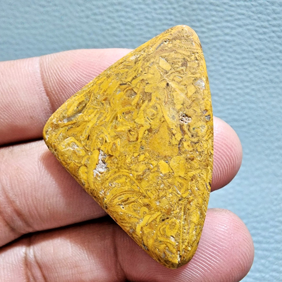 61 Crt Rare Quality Mariyam Jasper Palm Stone Cabochon Loose Gemstone Jewelry