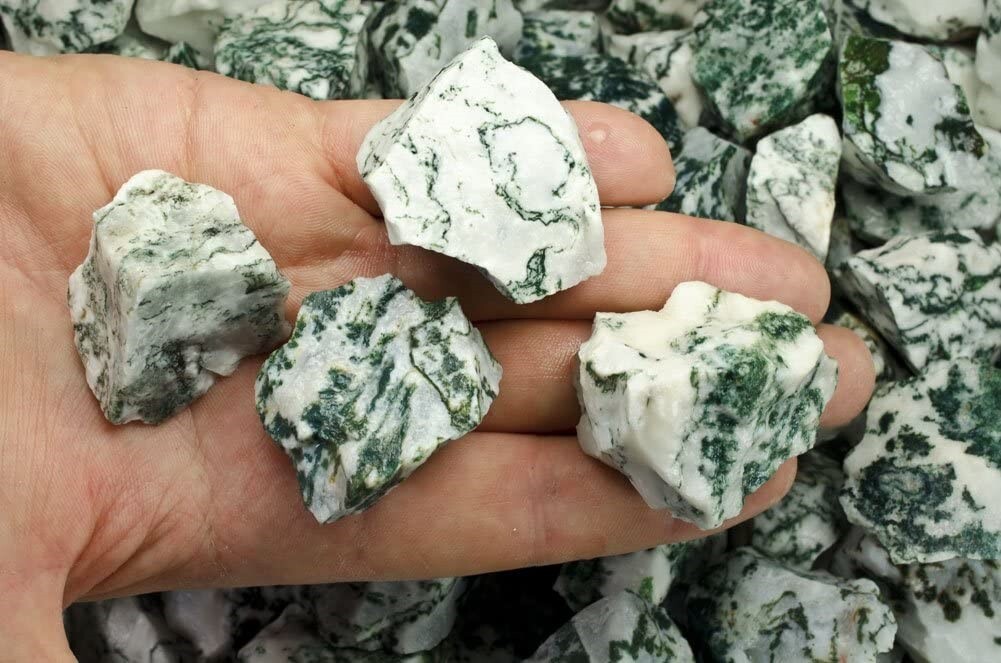 1/4 lb Tree Agate Rough Stones – Natural Crystal Mineral Rock Specimens Tumbling