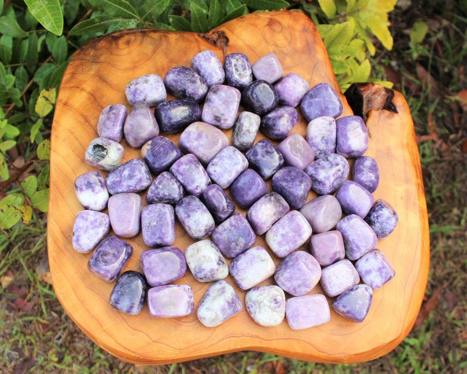 Lepidolite Tumbled Stones: Choose How Many (‘A’ Grade Lepidolite Crystals)