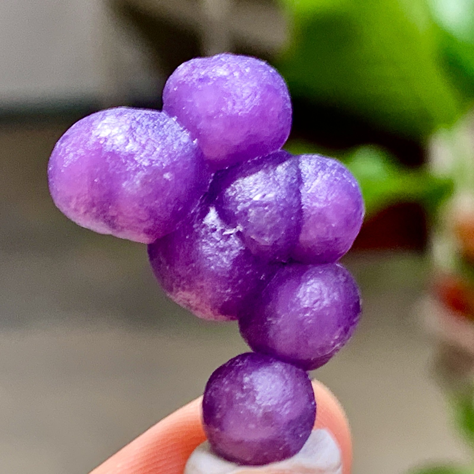 5G Natural purple grape agate quartz crystal granular mineral specimen
