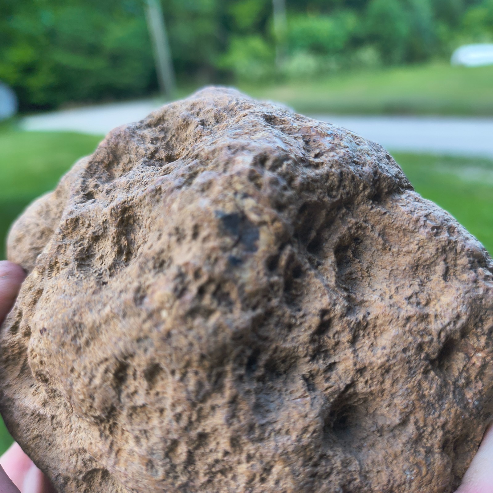 Unopened Natural Kentucky Geode 4.88 lb 6″ Exact Specimen