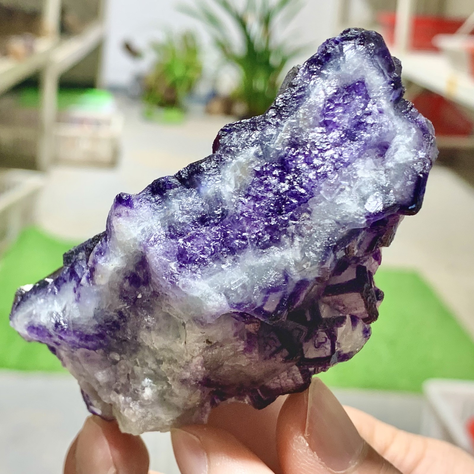 211G Inner Mongolia Natural Fluorite Purple Edged Cube Crystal Mineral Specimen