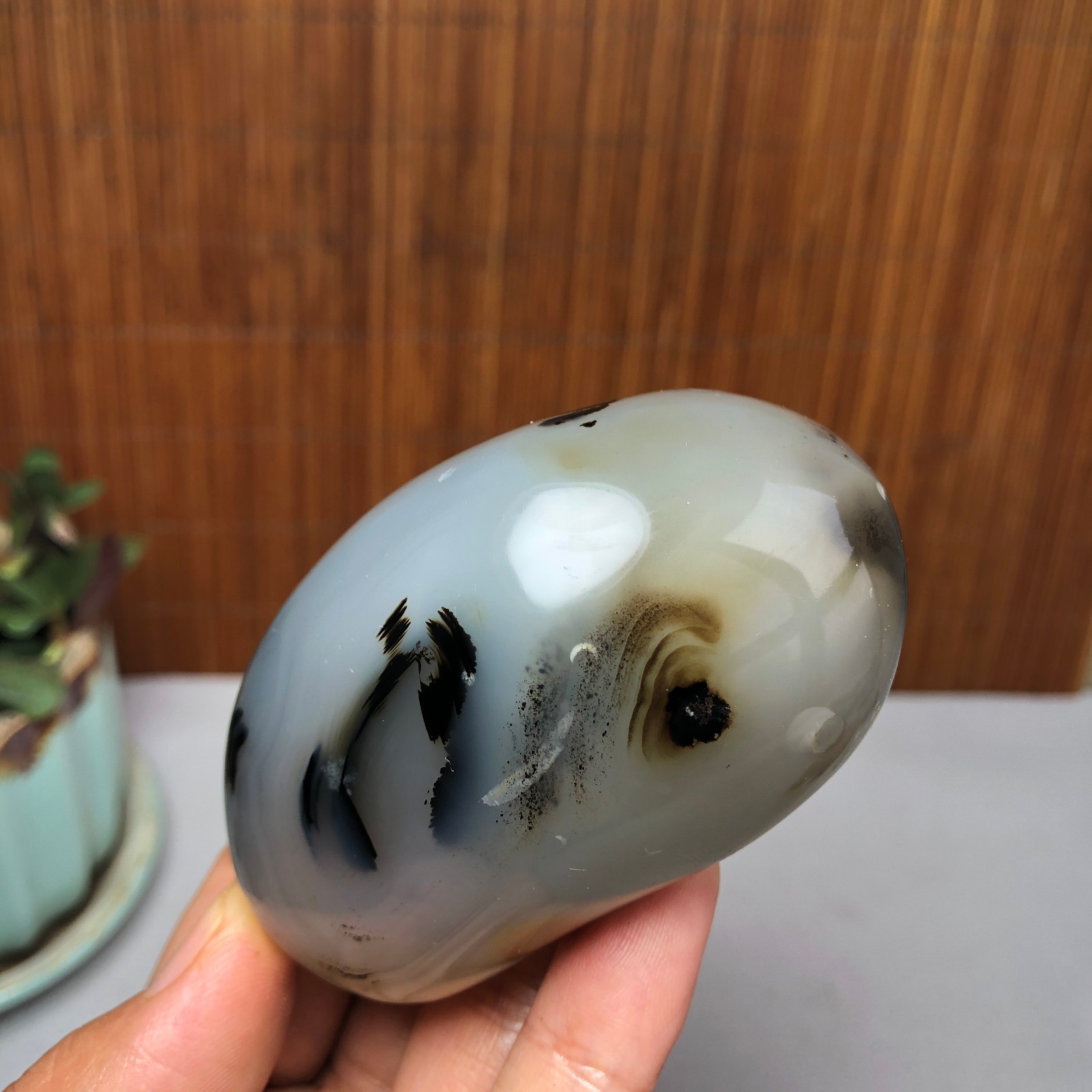 72mm Natural aquatic plants agate pretty Crystal specimens 167g A9995
