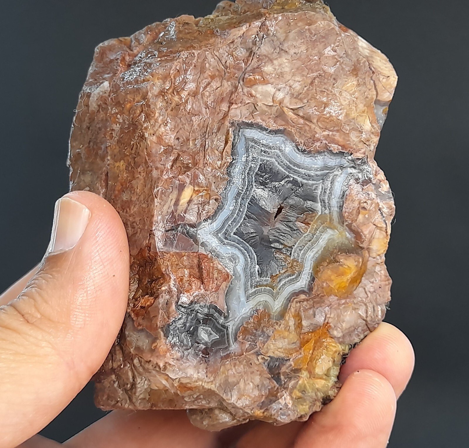 455g/1.00 lb turkish banded thunderegg agate stone, customs duty included