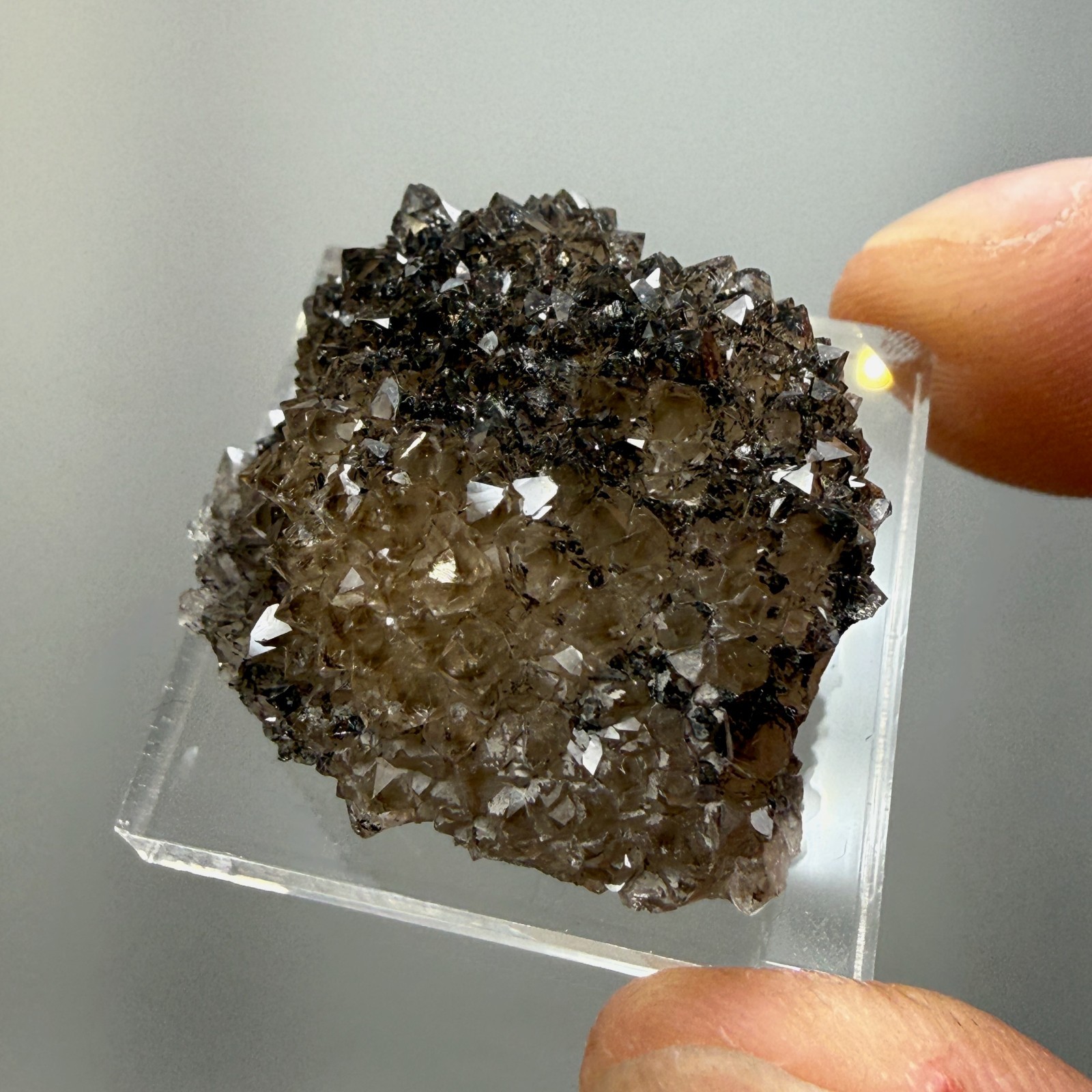 Herkimer Diamond Black + Gray Druze, Gemmy Points w/ Hydrocarbon, Rare Matrix