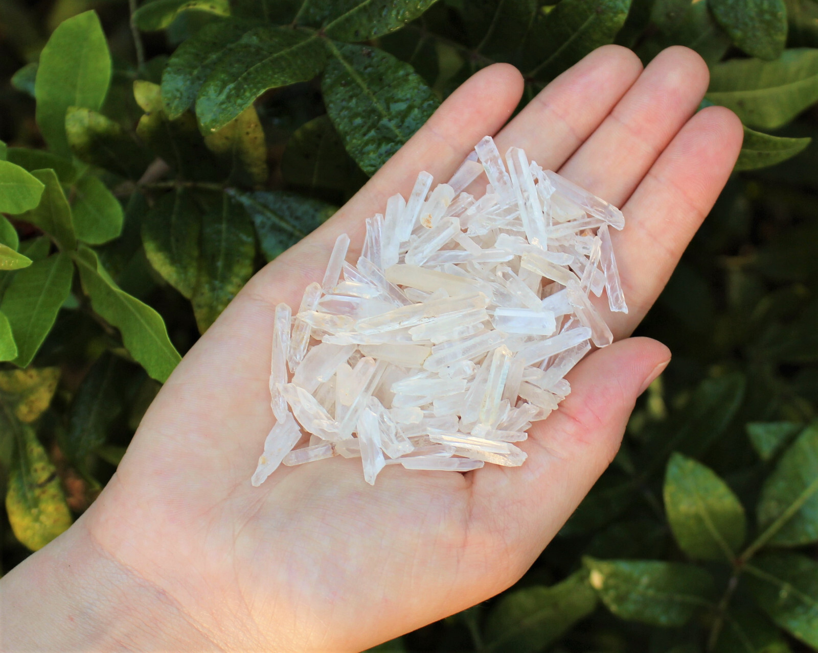 Tiny Natural Matchstick / Jewelry Quartz Crystal Points 50 Gram Lot (1.76 oz)