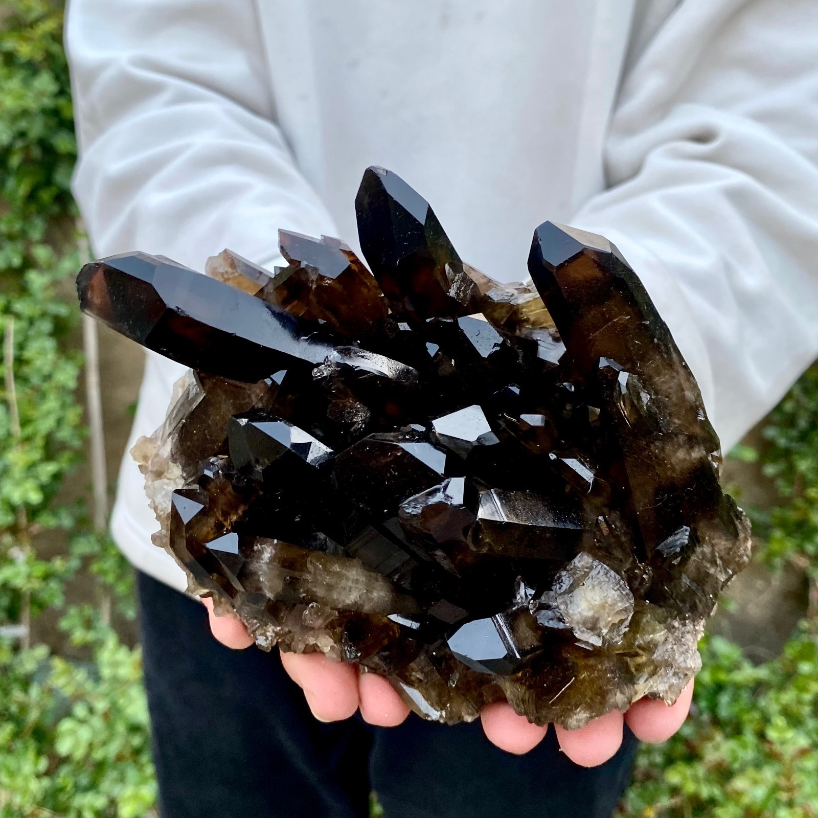 2LB Natural Tea black Crystal quartz Cluster Mineral Specimen Healing reiki