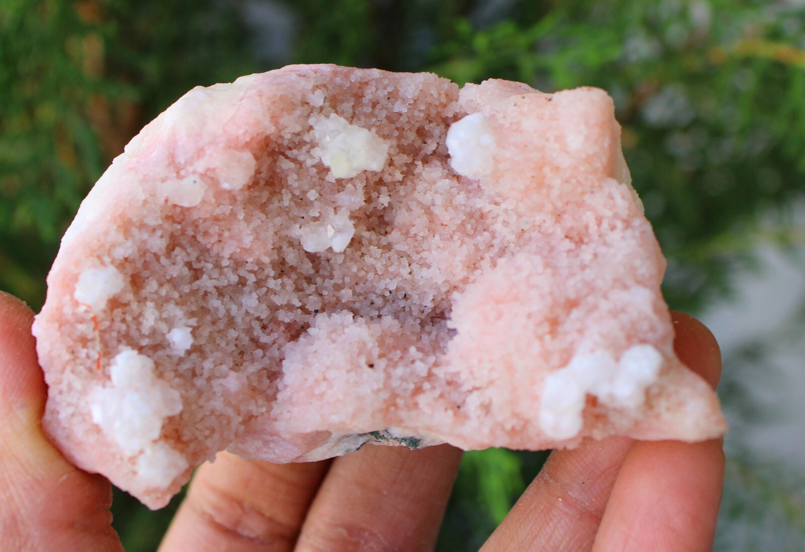 Apophyllite Crystals On Light Pink Coral Matrix Minerals Specimen #M55