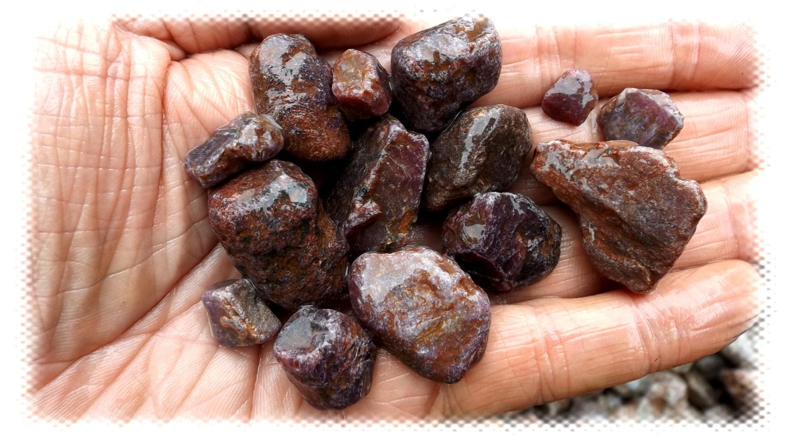 1 POUND LOTS STAR SAPPHIRE / RUBY COMMON CORUNDUM CRYSTAL ROUGH *FREE SHIPPING*