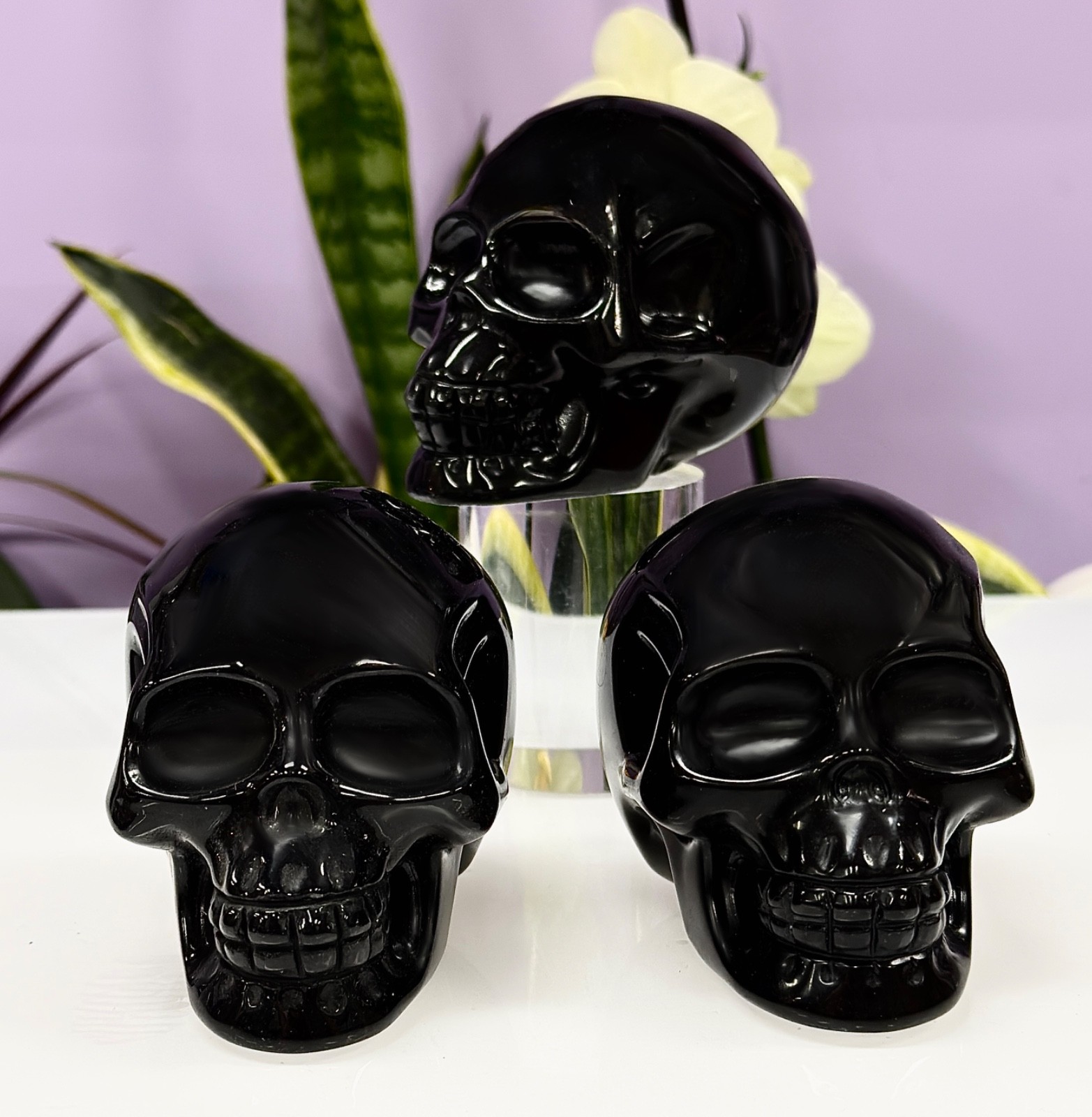 Wholesale lot 3 Pcs Natural Black Obsidian Skull