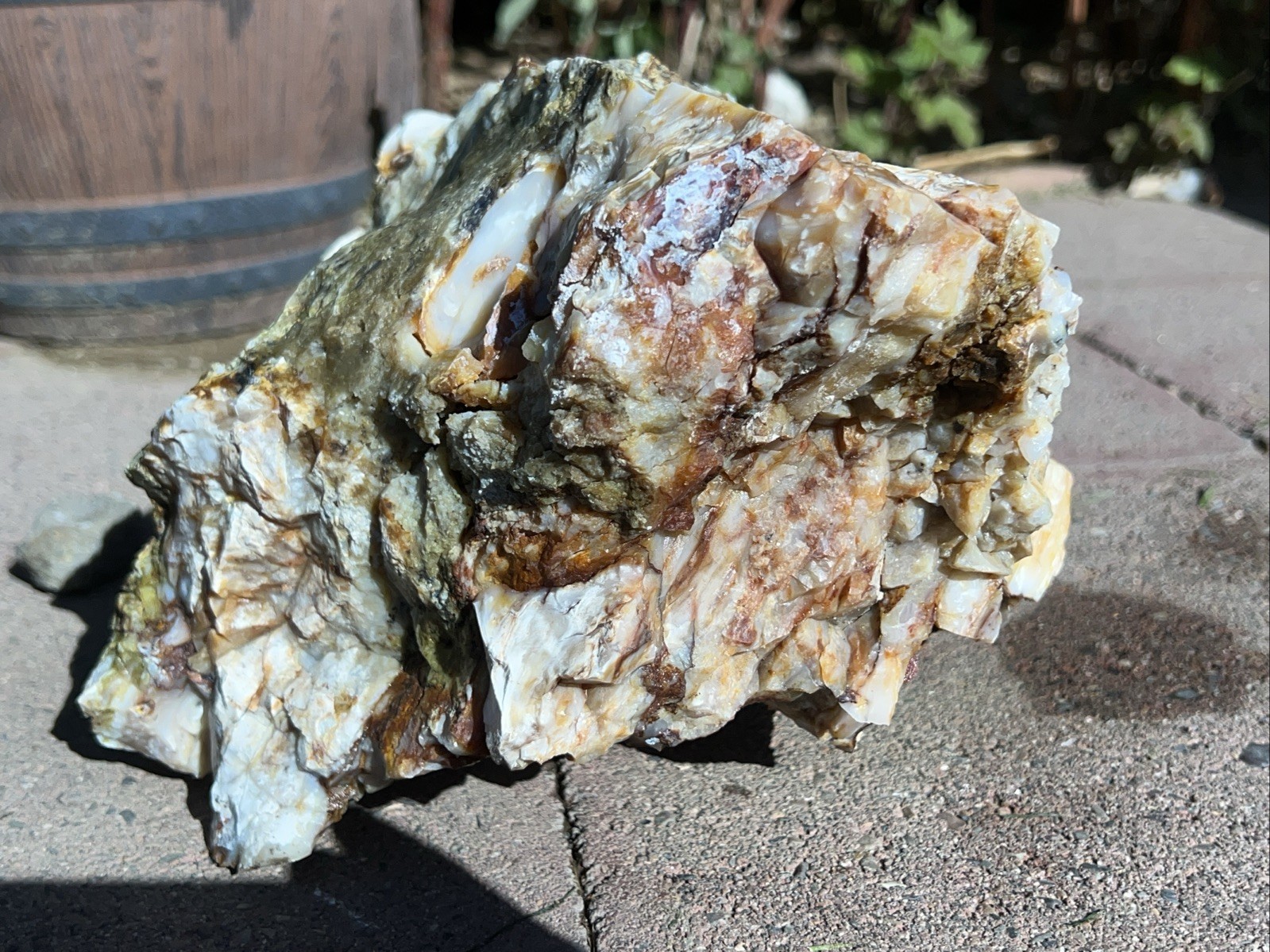 Agatized Opalized Petrified Wood 17 Lbs White Red Orange Fire Agate Throughout