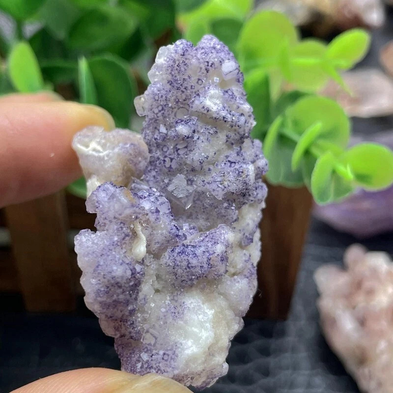 49g Rare transparent Purple cubic fluorite mineral crystal sample/Mongolia China
