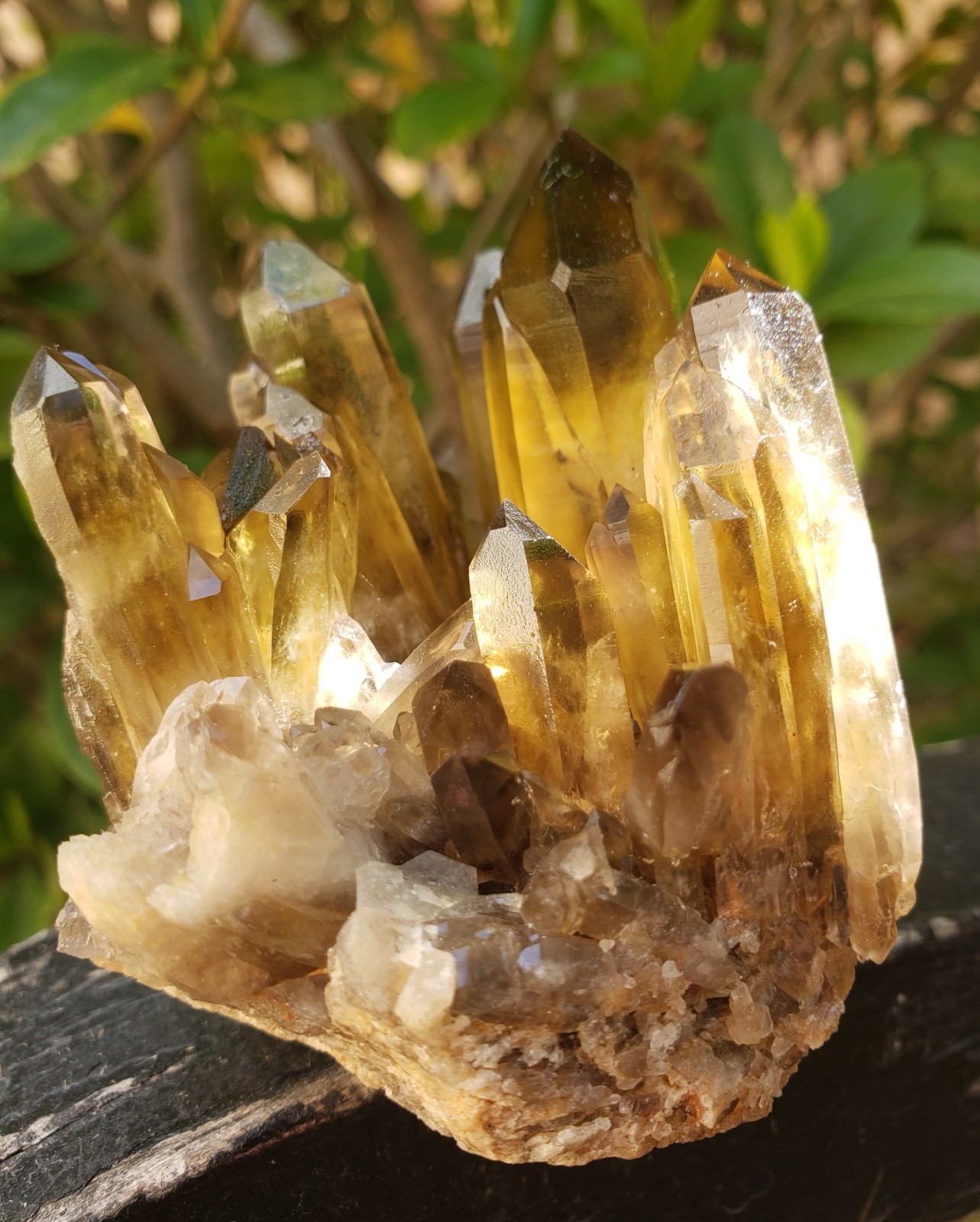 2.75″ Natural Smoky Citrine Quartz Crystal Cluster Mineral Specimen, 198g or 7oz