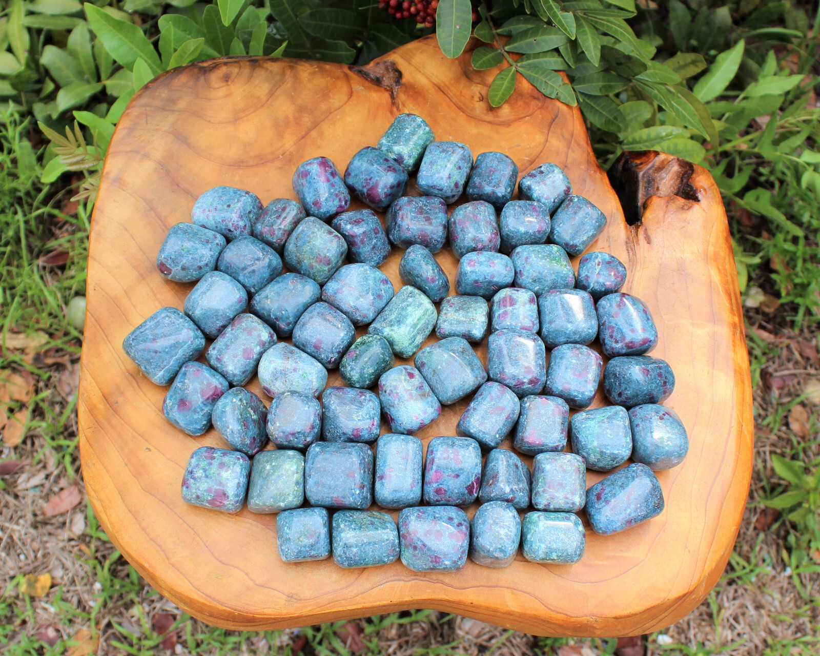 Ruby Kyanite Tumbled Stones: Choose How Many Pieces (Crystal Healing)