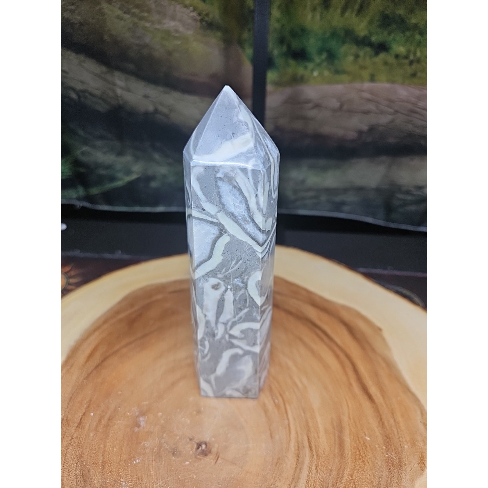 1000 Eye Jasper Crystal Tower — 1.76 – CrystalCloud Company