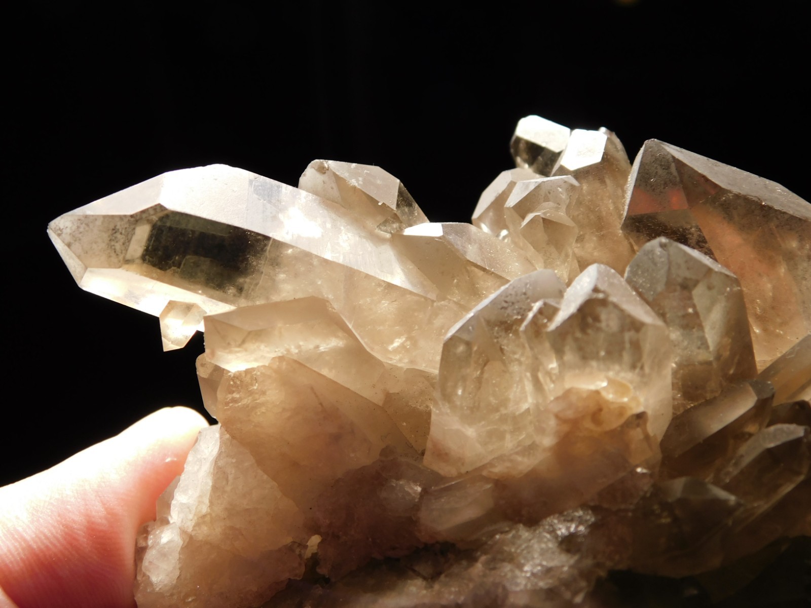 FIFTEEN Points! on This Larger SMOKY Quartz Crystal Cluster From Brazil 424gr