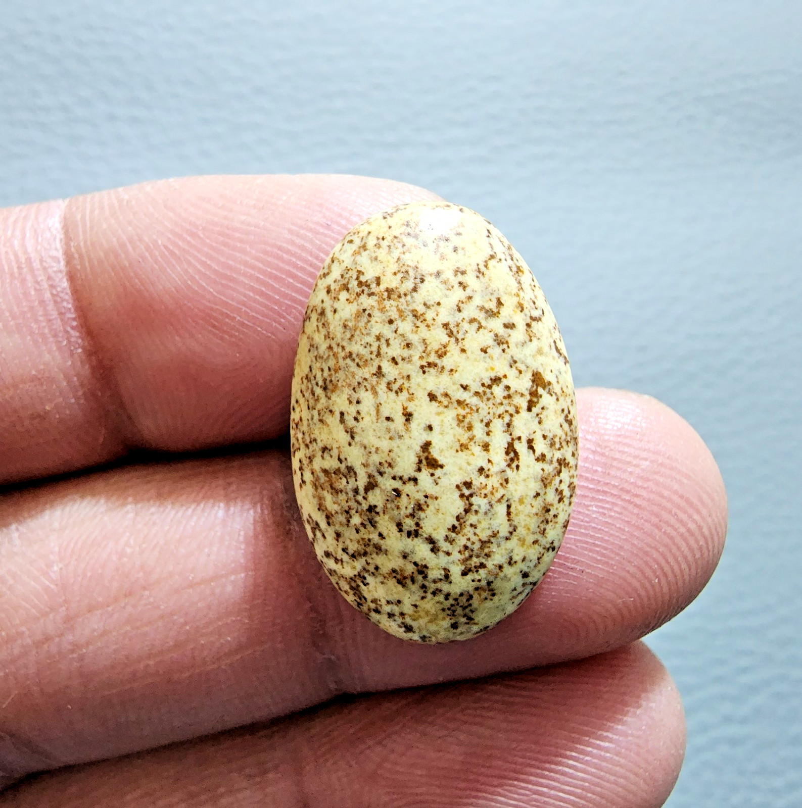 15ct Awesome Picture Jasper Cabochon Oval Gemstone – Natural Jewelry Collector