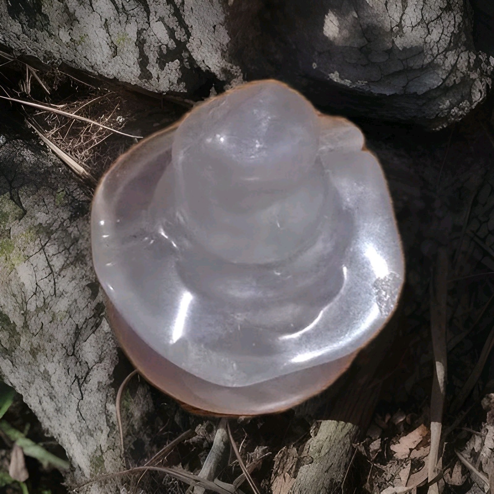 Purple Rainbow Banded Fluorite Witch Hat Jack O Lantern Halloween Crystal