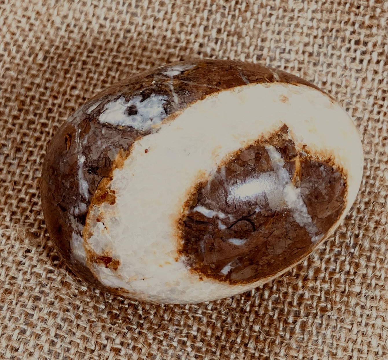 Egg Shaped Polished Aragonite & Agatized Gem-Healing Stones, Set of 4, 2.5 – 3″