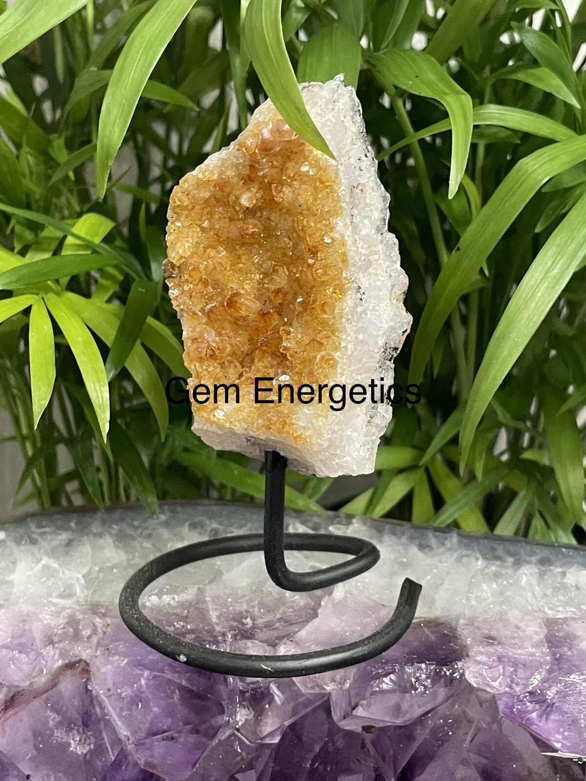 Citrine Druze Specimen Citrine Crystal Cluster Citrine Gemstone Feng Shui Stone.